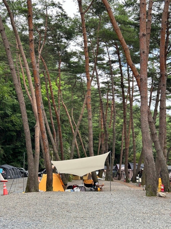 영월산골캠핑장 중앙4번