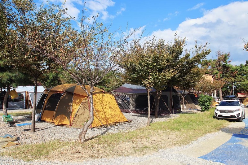 그린오토캠핑장 시설 사진 6