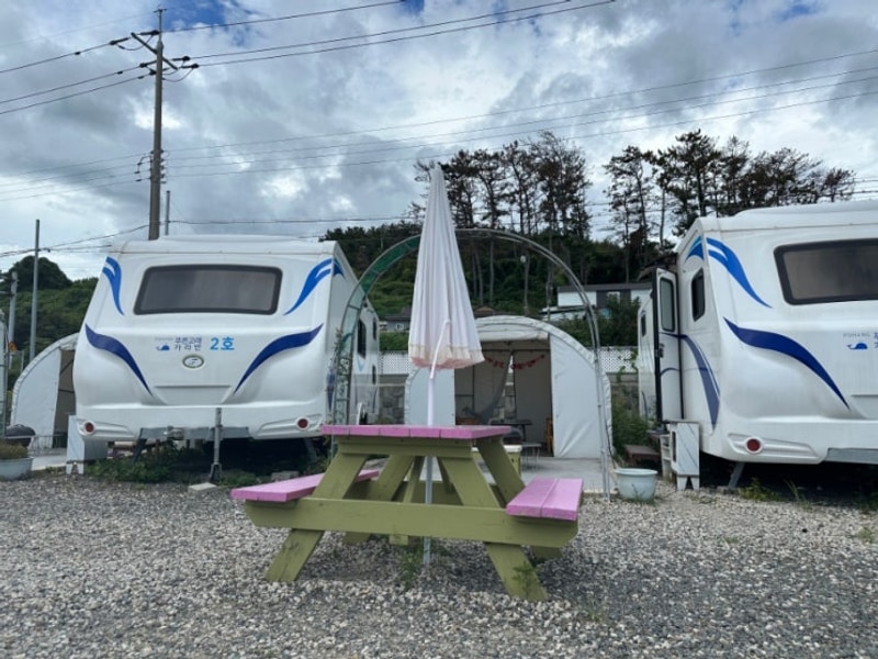 [포항 카라반 추천] 푸른고래 카라반 내돈내산 후기!!