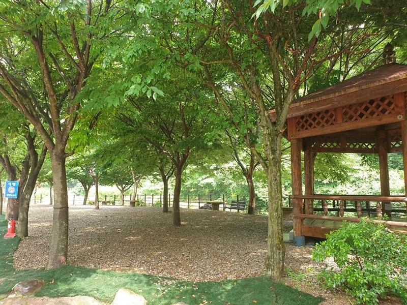 녹색 오토캠핑장 대표 사진