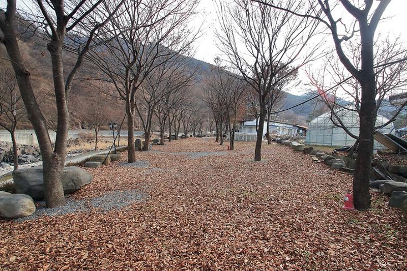 엘림펜션 오토캠핑장 대표 사진