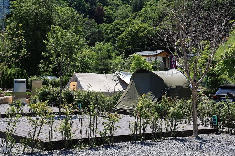 일칠일관광농원 시설 사진 9