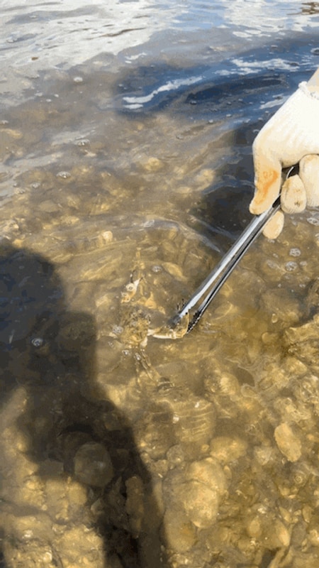 [캠핑기록 06] 경남 고성 놀터 캠핑장 19-1 후기 (오션뷰...