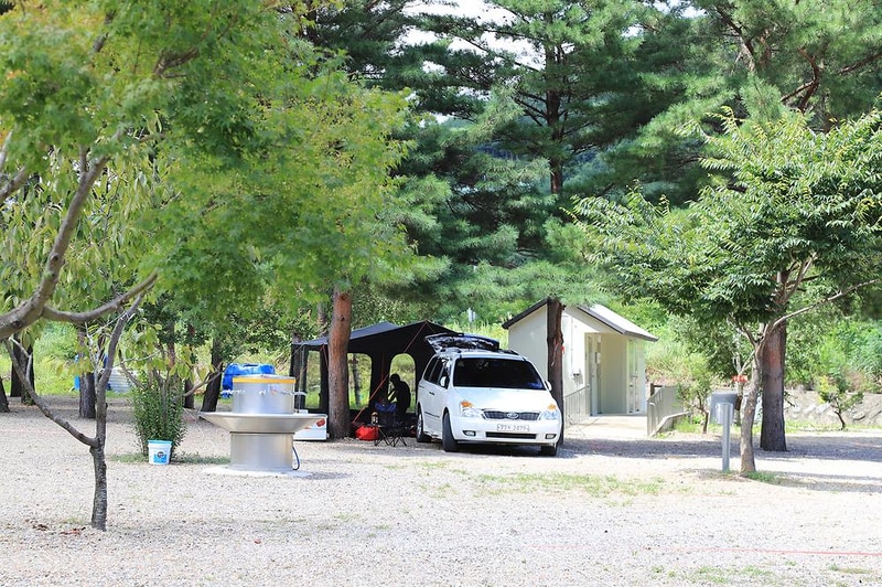 삼척엘림캠핑장 시설 사진 35