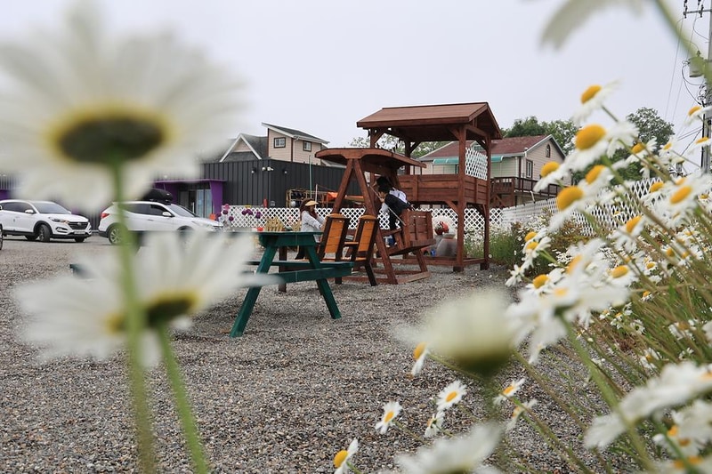 태안머드오토캠핑 시설 사진 2