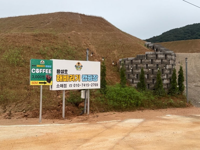 안성 용설호해바라기캠핑장 A2 사이트