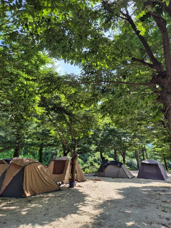 [캠핑 #2] 가평 캠핑장 / 송어낚시 산수 펜션