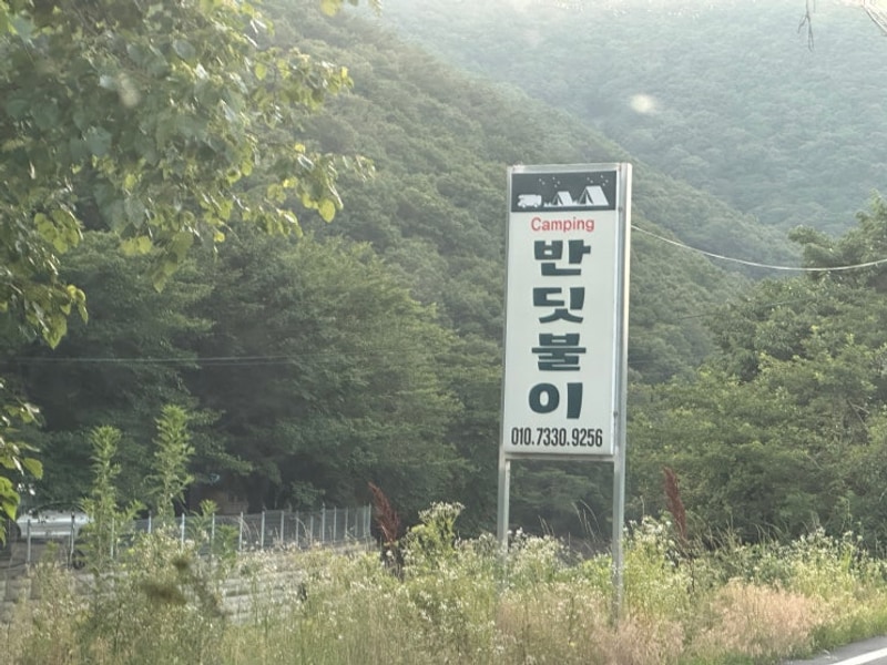 애견동반 경주캠핑장｜반려견동반 위치 추천! 반딧불이캠핑장...