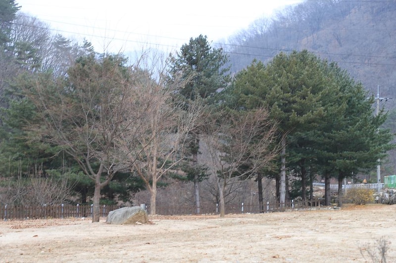 수피다 캠핑장 시설 사진 1