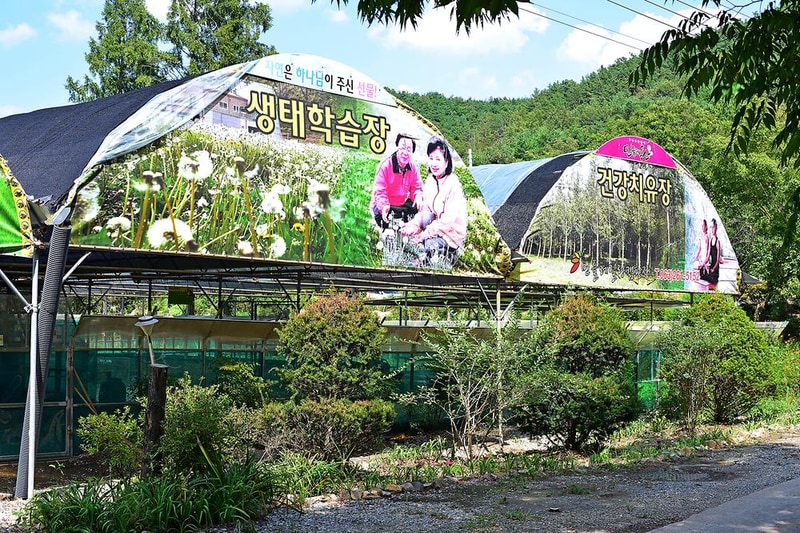 민들레동산 캠핑장 시설 사진 8