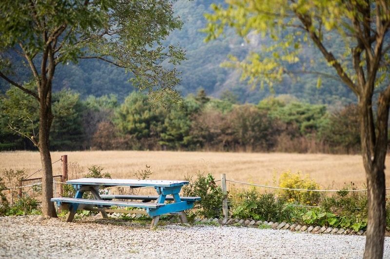 한탄강둘레길캠핑장 시설 사진 17