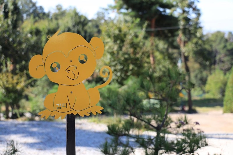 검디 관광농원 야영장 시설 사진 3