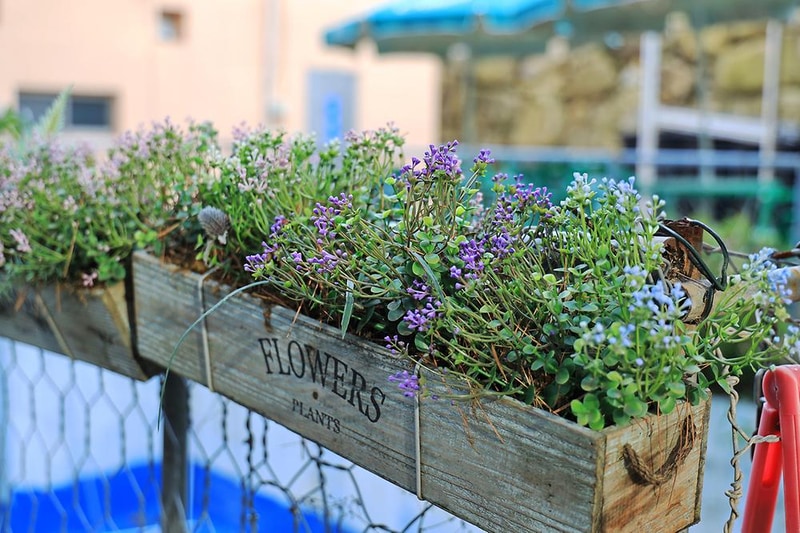 울산 힐링캠프 시설 사진 10