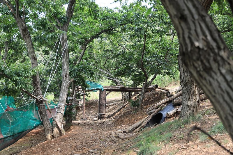 고래숲관광농원 시설 사진 1