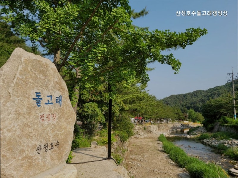 [포천 캠핑장] 산정호수돌고래캠핑장 자연과 함께하는 캠핑