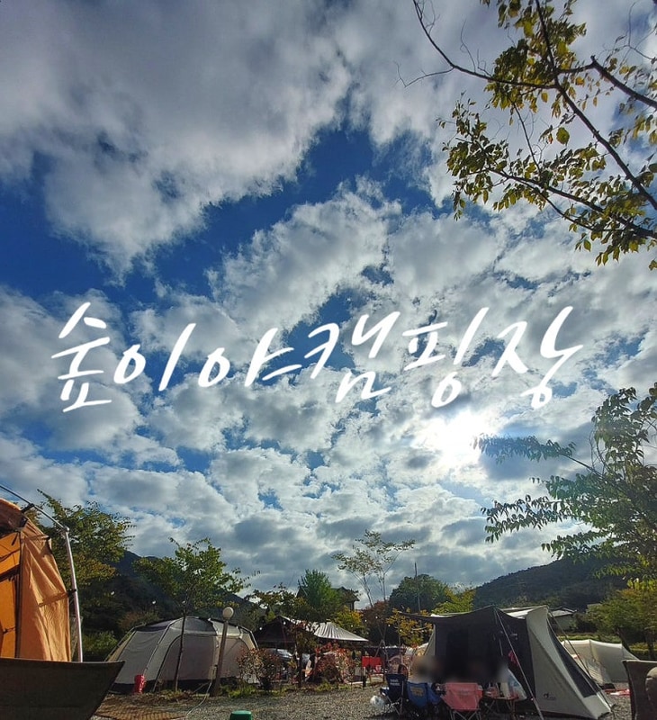 경기 양평 캠핑장 : 북한강이 보이는 "숲이야캠핑장 C-3 사이트...