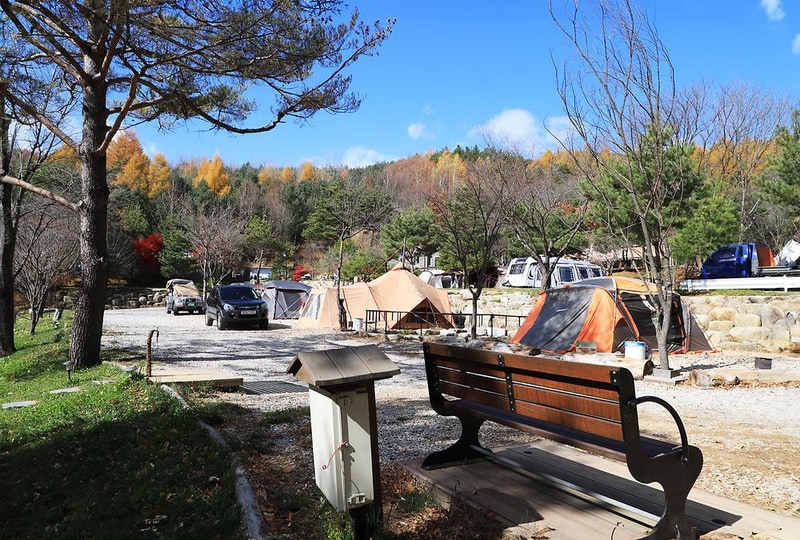 삼남매와 뭉치네 캠핑장 시설 사진 14