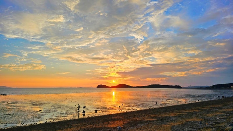 서해 일몰 명소 대부도 나라펜션캠핑장 상세리뷰