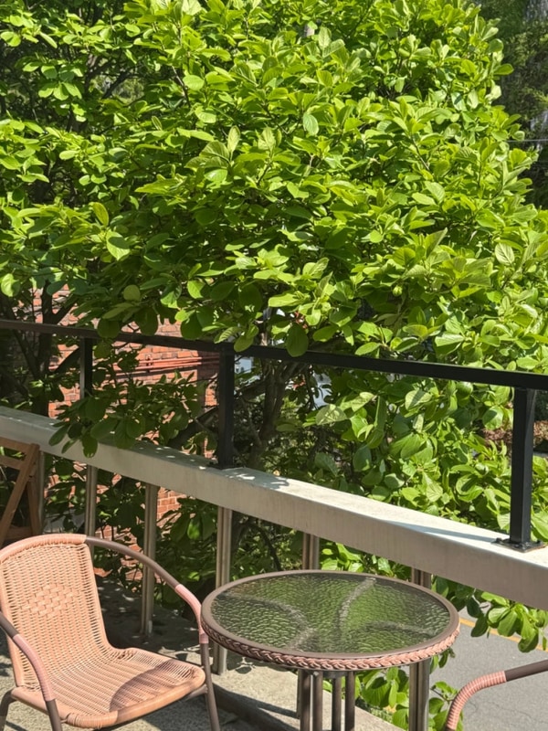 1년 만에 다시 방문한 충주 탄금호야영장