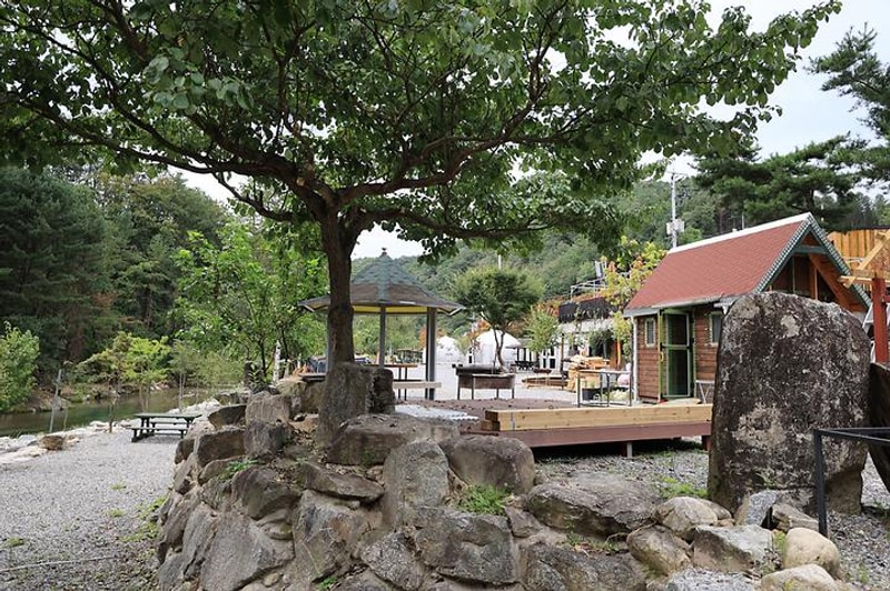 메기의 추억 대표 사진