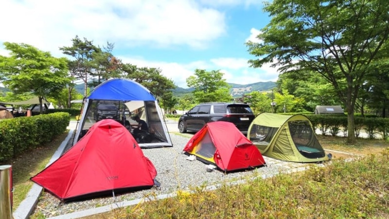 천안시 국민여가캠핑장 A14 캠핑 후기 & 용연저수지 한 바퀴 산책