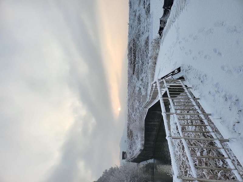 루파니애견캠핑장 시설 사진 29
