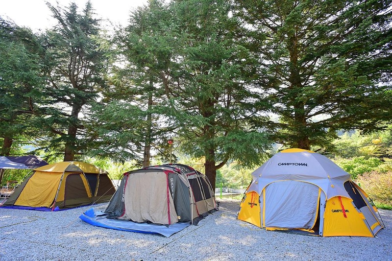 달빛고운병곡캠핑장 시설 사진 7