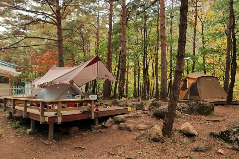 무릉계곡 힐링캠핑장 시설 사진 3