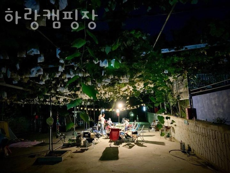 강화캠핑장 하랑캠핑장  글램핑 예약 매매 추천 오토