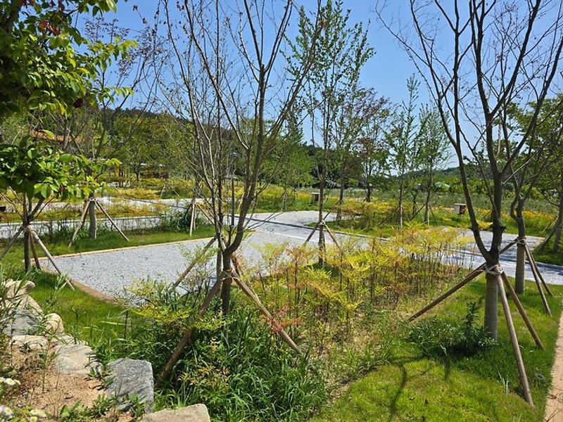 에코캠핑장 대표 사진