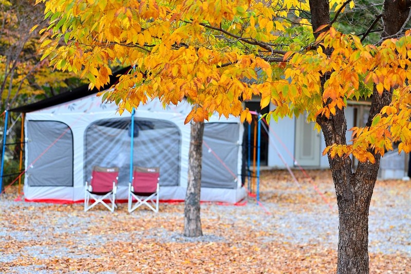 들꽃여울캠핑장 시설 사진 16