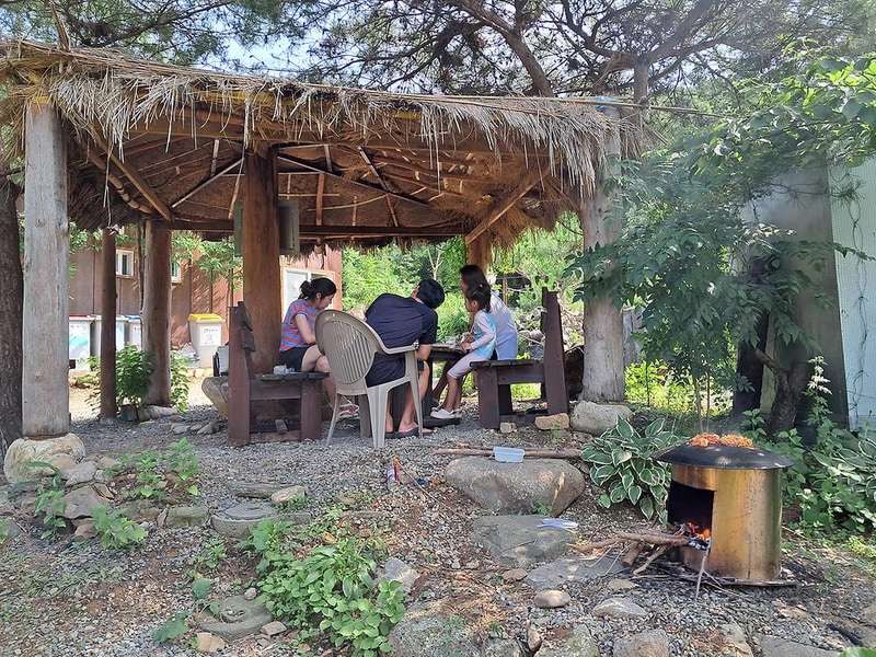 야생초마을아미골 시설 사진 2