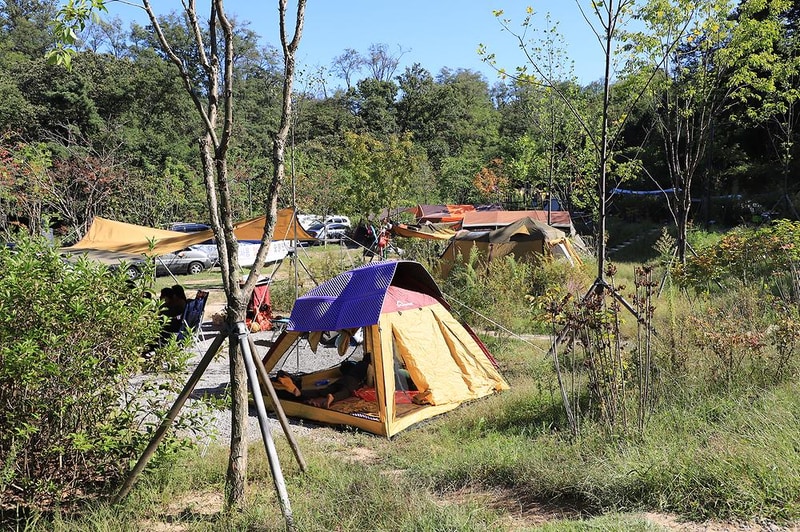 초안산캠핑장 시설 사진 13