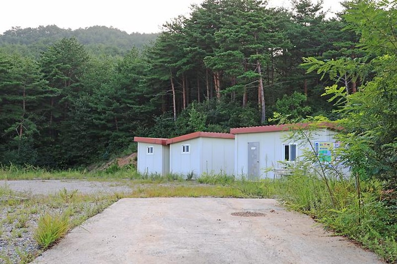 메이플 포레스트 대표 사진