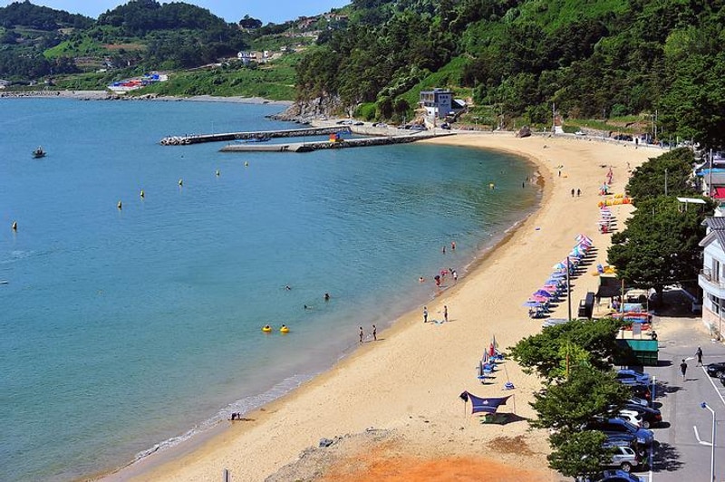 사촌해수욕장야영장 대표 사진