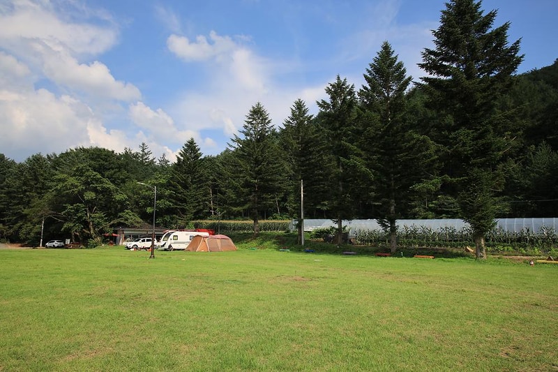 횡성 노다지야영장 불타는 삼촌 시설 사진 15