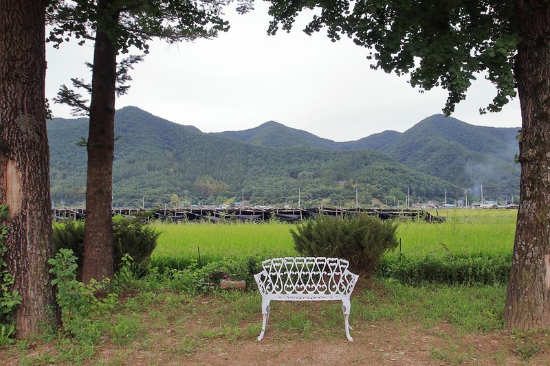 잉카마야박물관&캠핑장 시설 사진 2