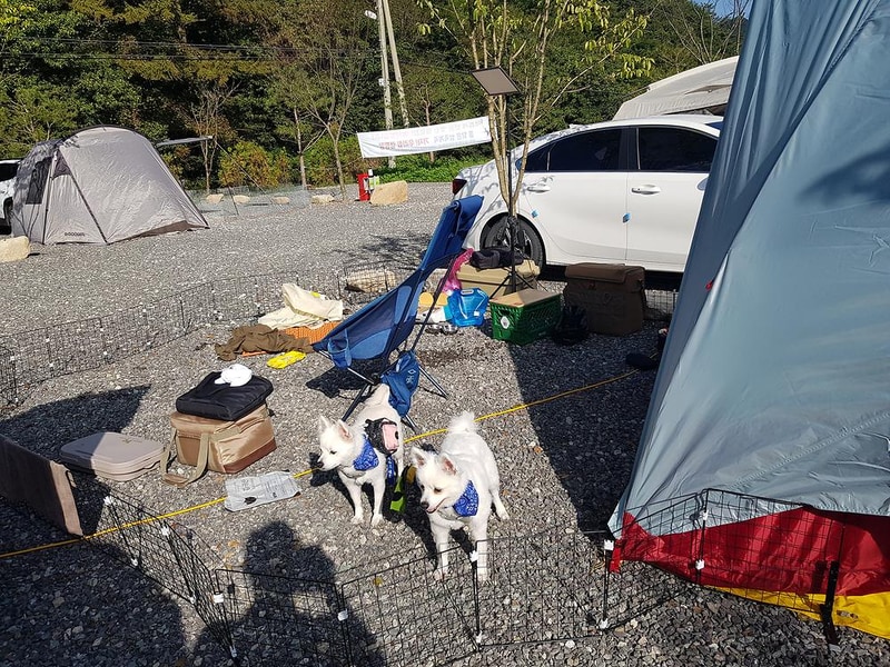 가자우리집 시설 사진 5