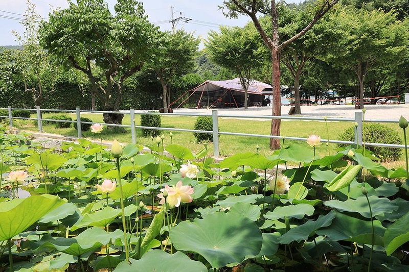 토일관광농원 시설 사진 14