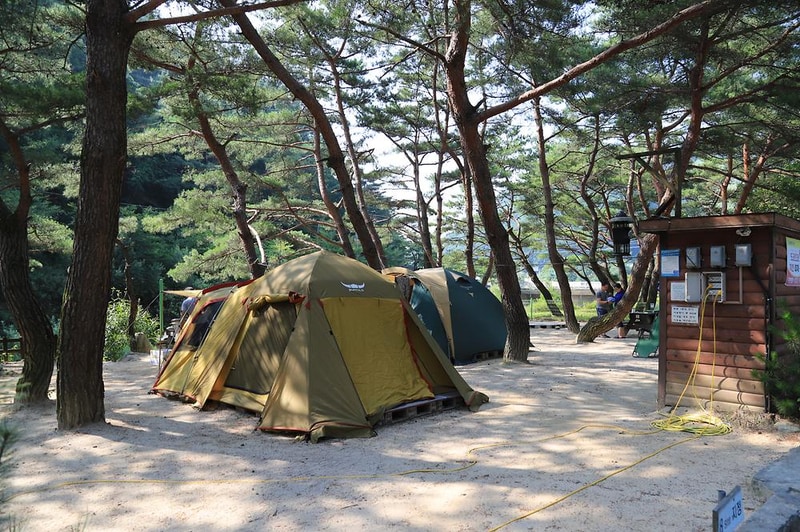 엄둔솔밭빌리지 시설 사진 1