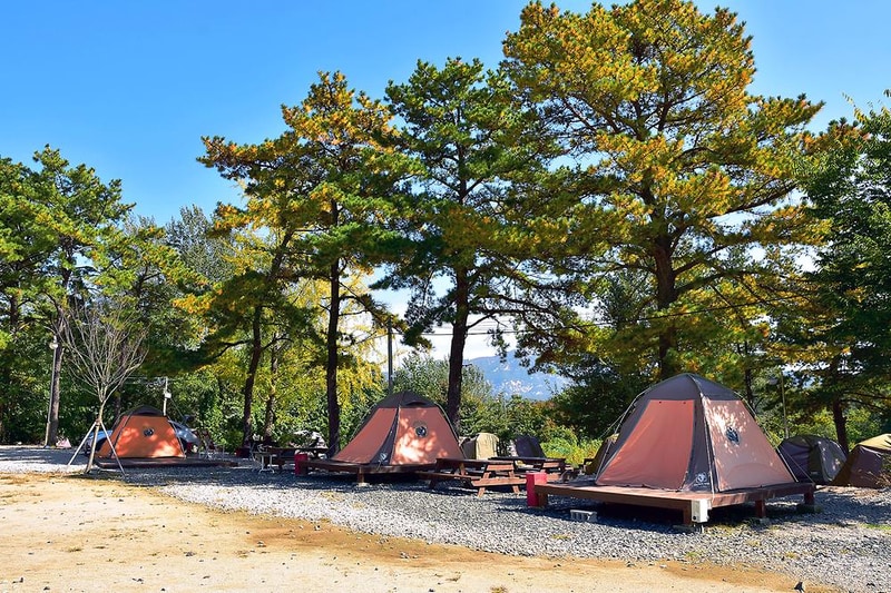 포천자연마을 서울캠핑장 시설 사진 5