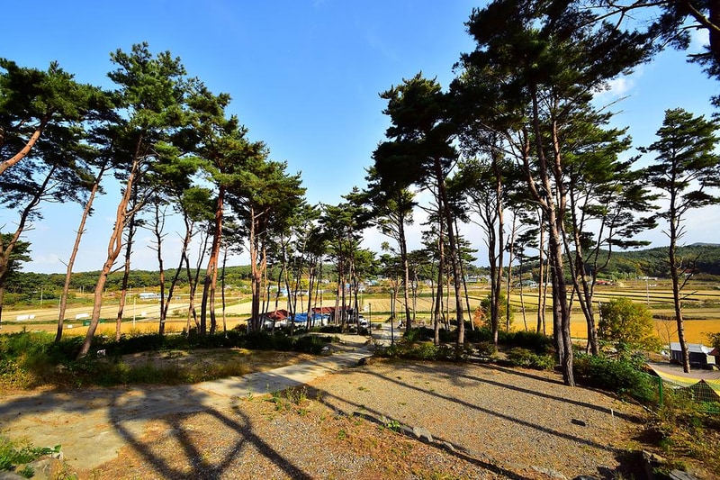 무창포솔원캠핑장 시설 사진 17