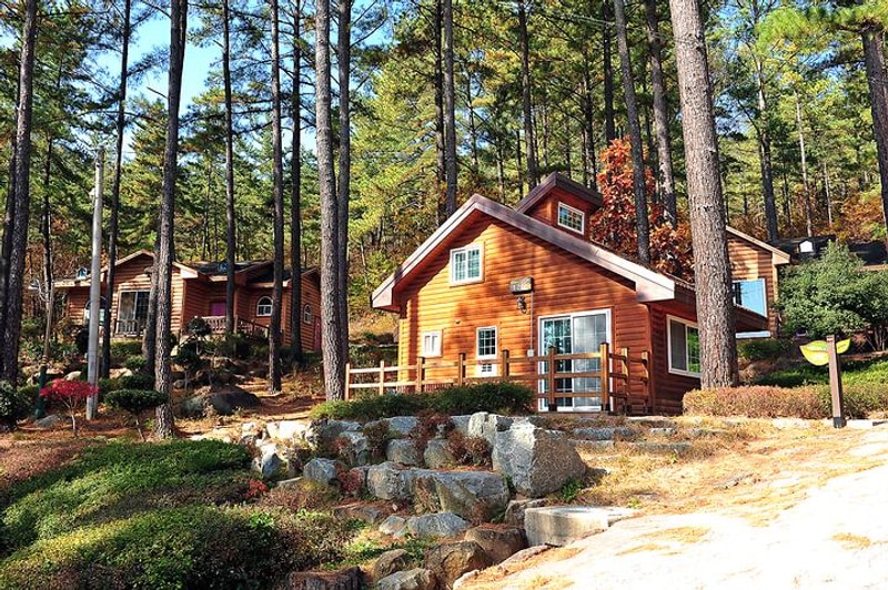 백운산 자연휴양림 야영장 대표 사진