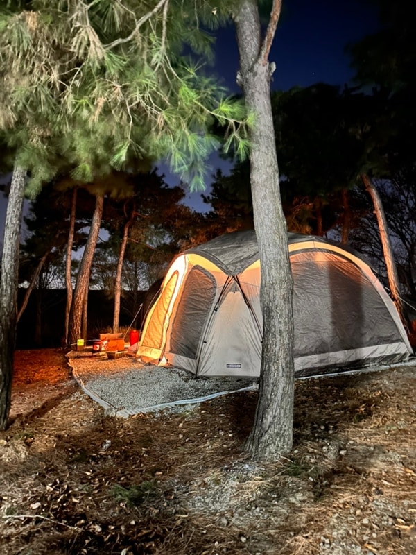 (캠핑138)평택 소풍정원 캠핑장