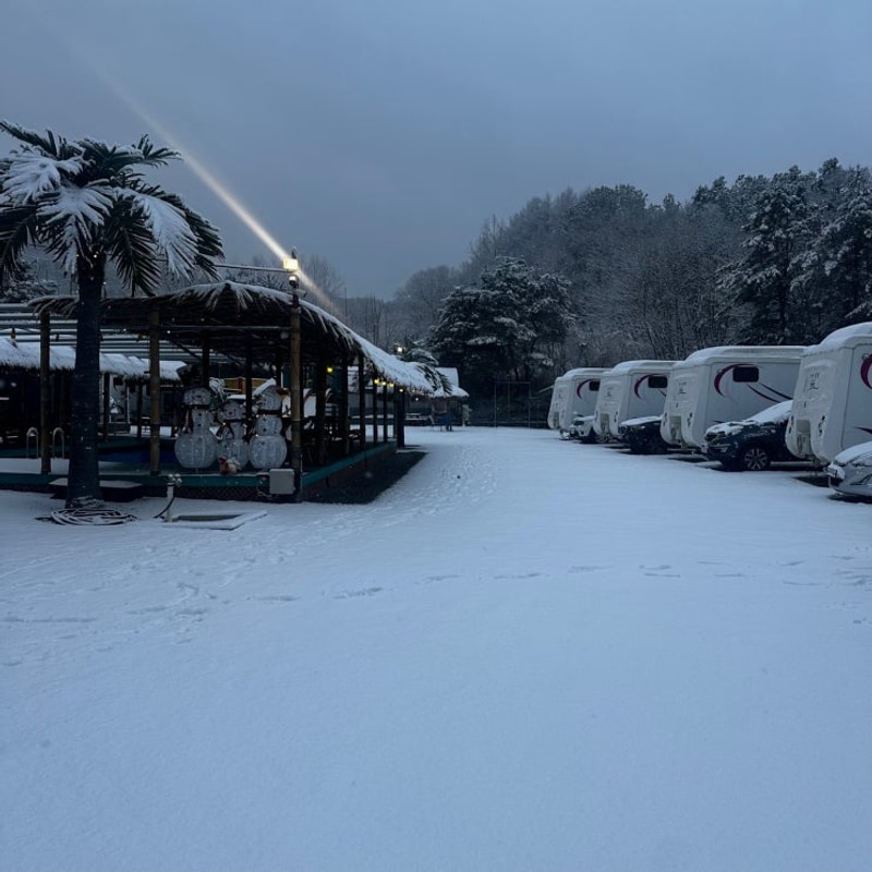 가능한 홍천 숙소 추천 '쁘띠힐링카라반' 내돈내산 후기
