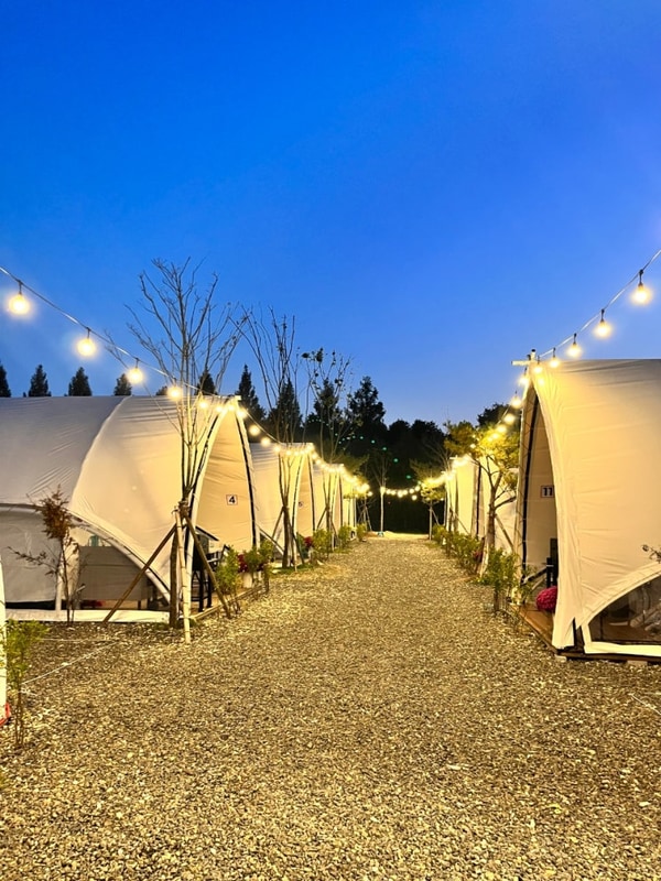 계룡 별마루캠핑바베큐장 — 가족과 함께한 최고의 바비큐 타임!