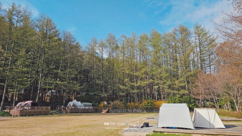 강원도 평창 캠핑장 추천 휘게포레스트 후기