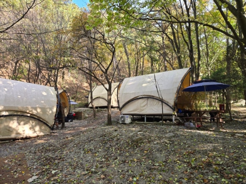 경기도 글램핑 캠핑장 추천! 안양 병목안캠핑장 이용 후기!