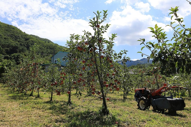 물한계곡소나무펜션 시설 사진 8