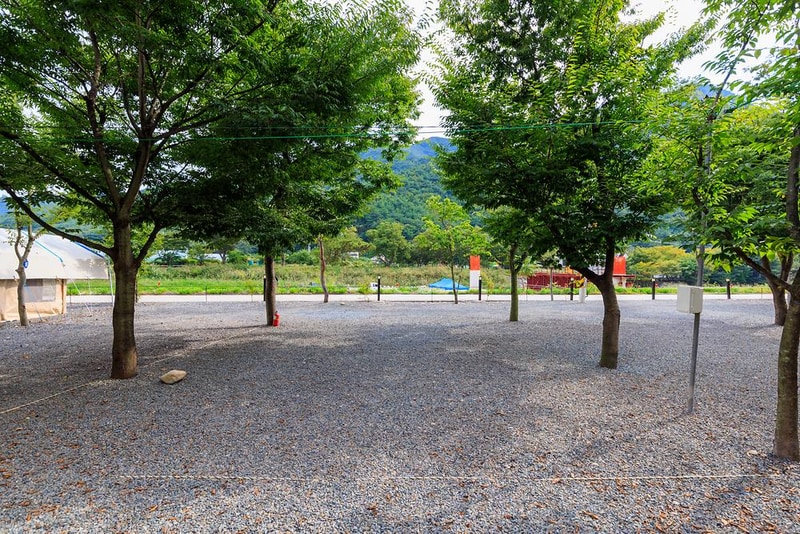 청도 사계절 캠핑장 시설 사진 8